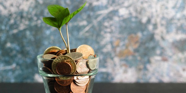 Standish Management image, tree growing out of a cup of coins